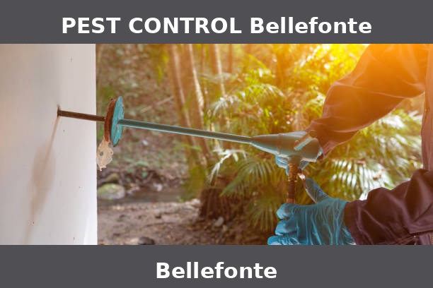 PEST CONTROL Bellefonte